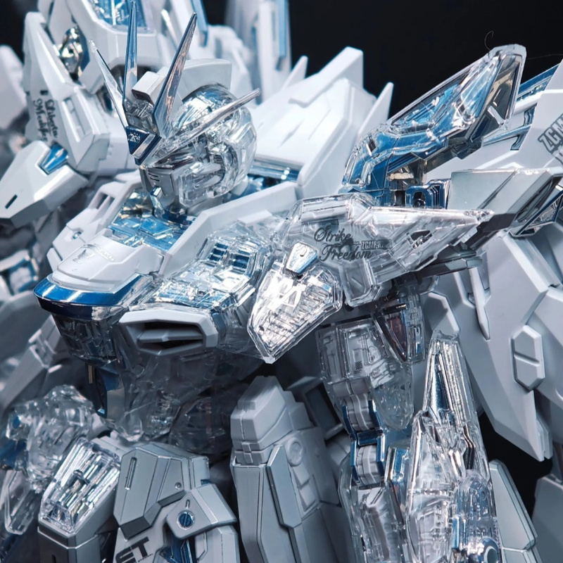 【IN STOCK】CHANGLONG 7701 Twili - Model Kit Nemesis review and price