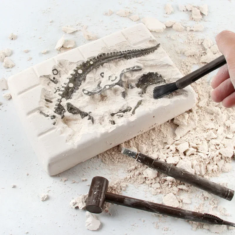 Dinosaur Excavation Fossil Arc - Model Kit Dinosaur review and price