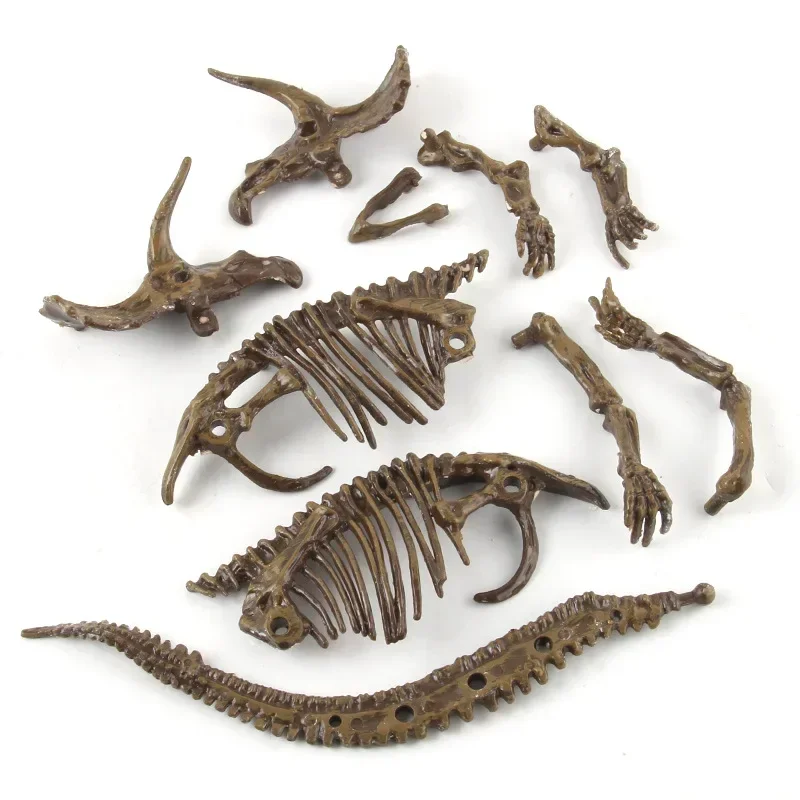 Dinosaur Excavation Fossil Arc - Model Kit Dinosaur review and price