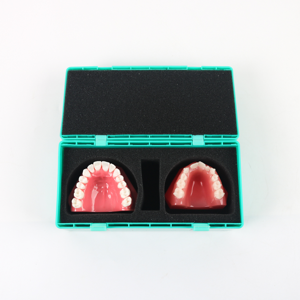 10pcs Custom Manual Dental Kit - Model Kit Manual review and price
